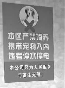 这个12年一轮回的狗年,可能对狗不太友好