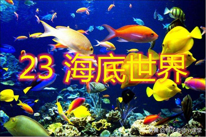 语文三年级下册笔记海底世界,海底世界三年级知识重点