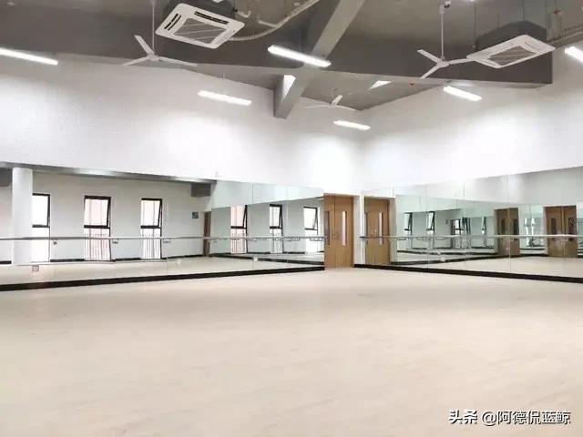 南京外国语学校仙林分校,南京外国语仙林分校燕子矶校区