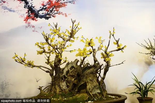 北京生活最不可少的一张卡开办！办理时间就一个月！,附上购买攻略和清单