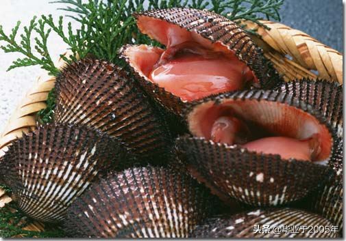 大连常见的海鲜美食都有哪些,大连海鲜吃货大全