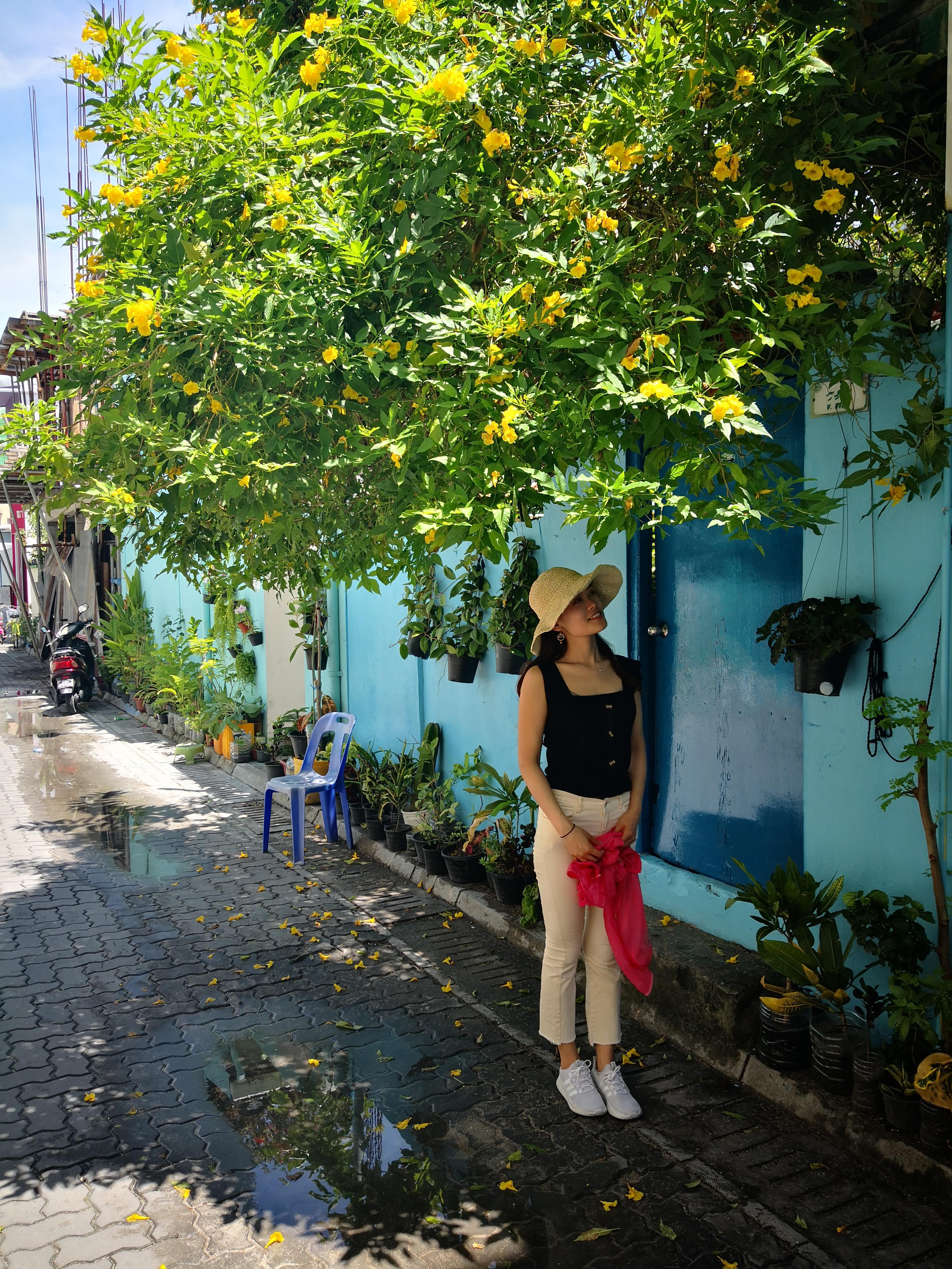 马尔代夫干净吗,探秘马尔代夫芙花芬岛