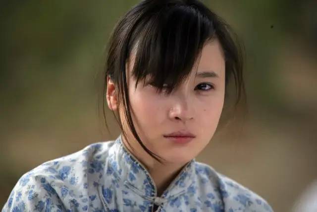 50部抗日特战片亮剑雪豹,十部必看抗日电视剧雪豹