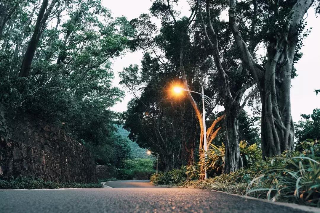 在福田区下梅林生活体验好吗,下梅林晚上适合去的地方
