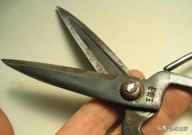 王麻子为什么退网,王麻子公司倒闭了吗