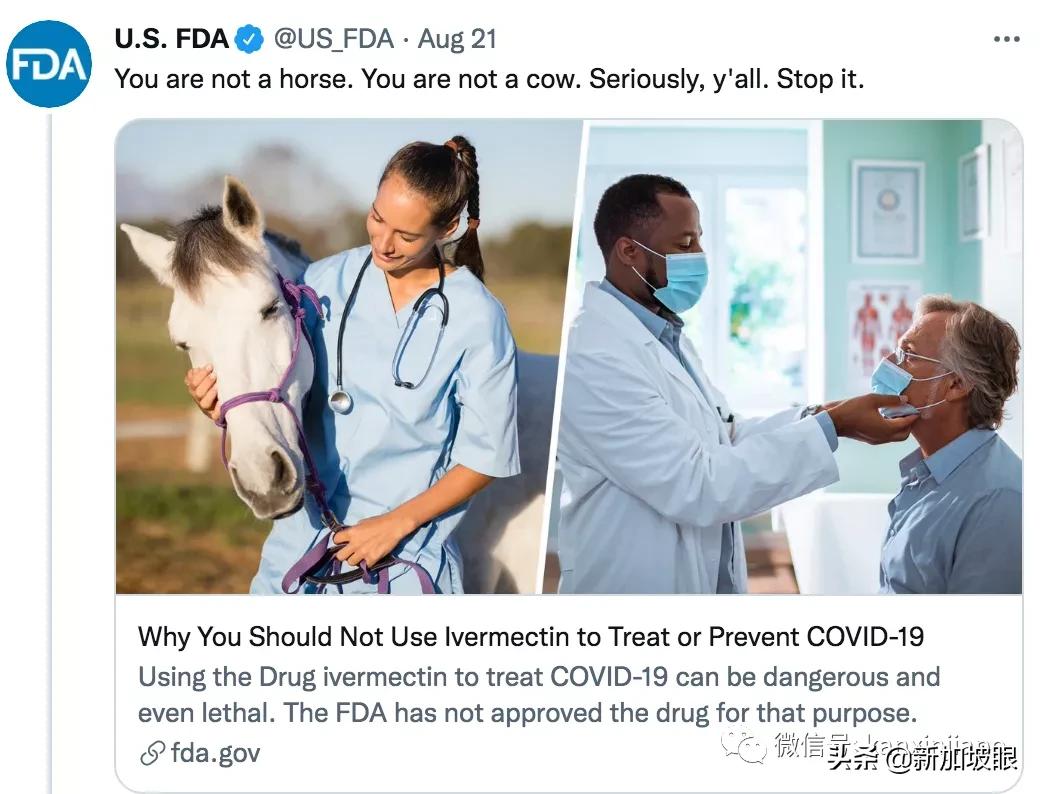 新加坡竟有人把驱虫药当冠病“神药”？当局发出严厉警告