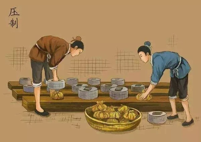 普洱生茶与熟茶哪个更适合入门,关于普洱茶生茶和熟茶的区别知识