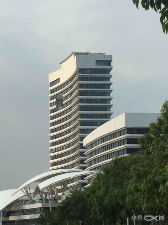 厦门购房2016年契税,厦门购房日记