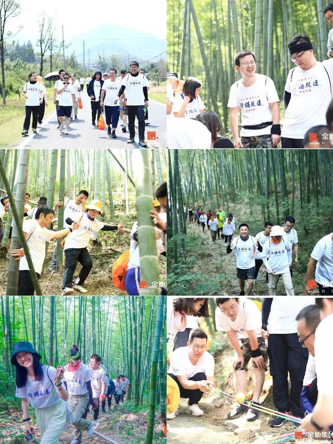 地产四大金刚,地产四巨头是真的还是假的