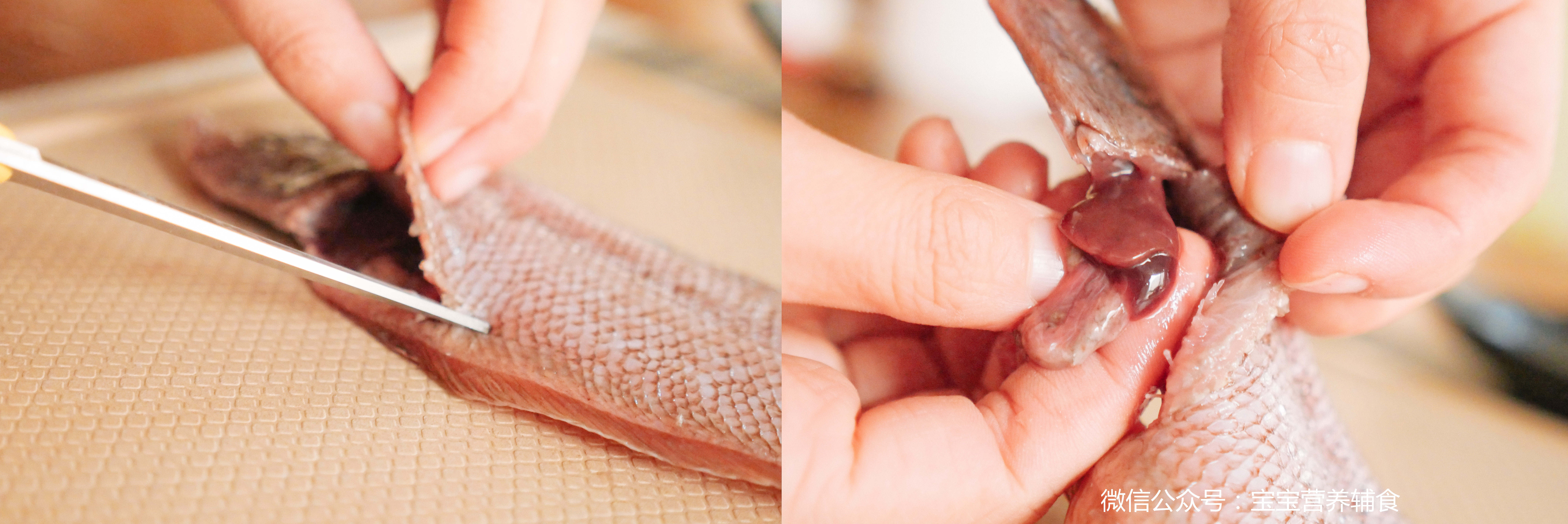 不要错过孩子脑部发育,不要错过孩子的大脑智力发育