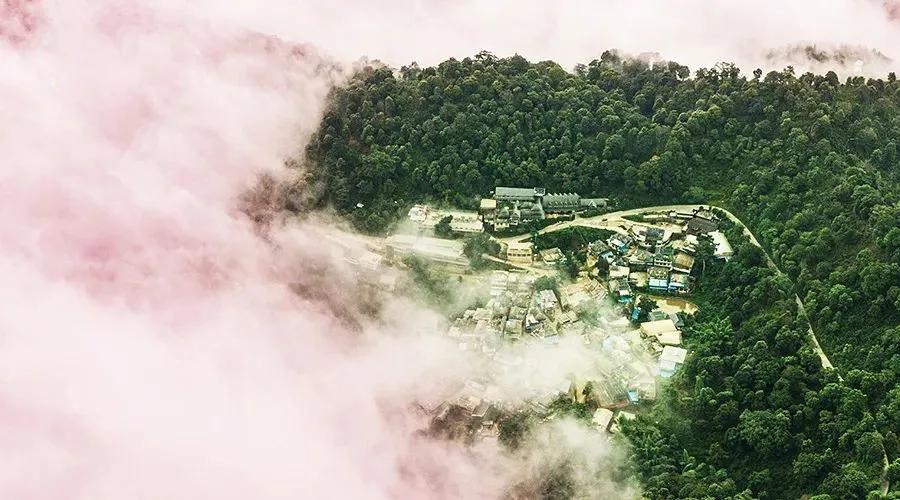 泰国西双版纳旅行,西双版纳基诺山热带雨林徒步