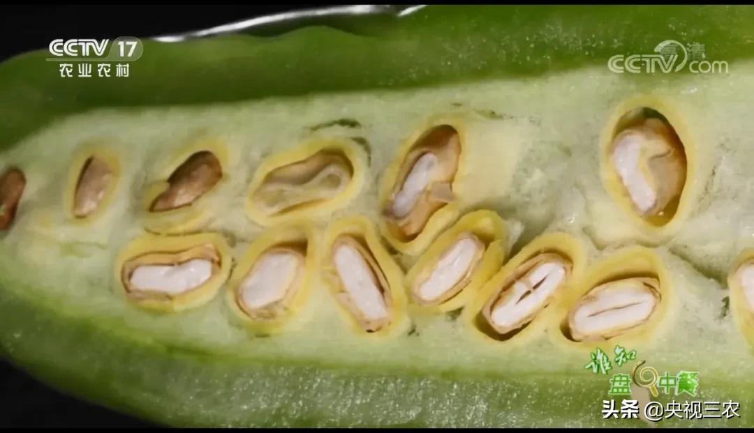 苦尽甘来蜜汁苦瓜做法,苦尽甘来的苦瓜做法