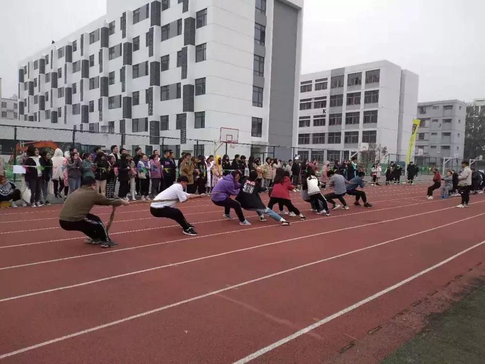 天津商业大学宝德学院在天津排名,天津市独立学院有多少