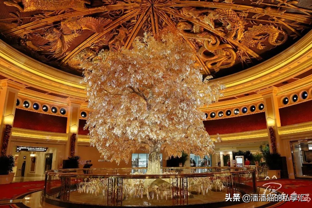 赴澳门旅游最新规定,澳门旅游攻略出关禁带物品