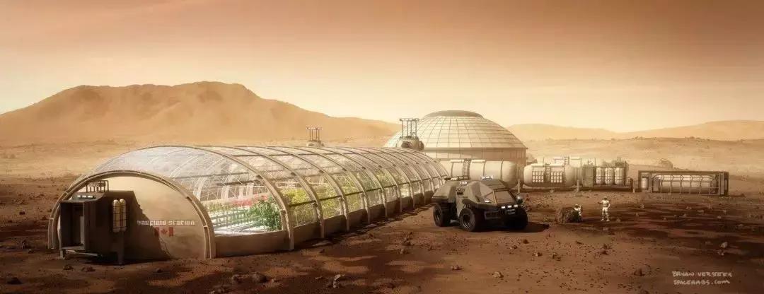 埃隆马斯克传奇人生完整版,埃隆马斯克传奇人生完整视频