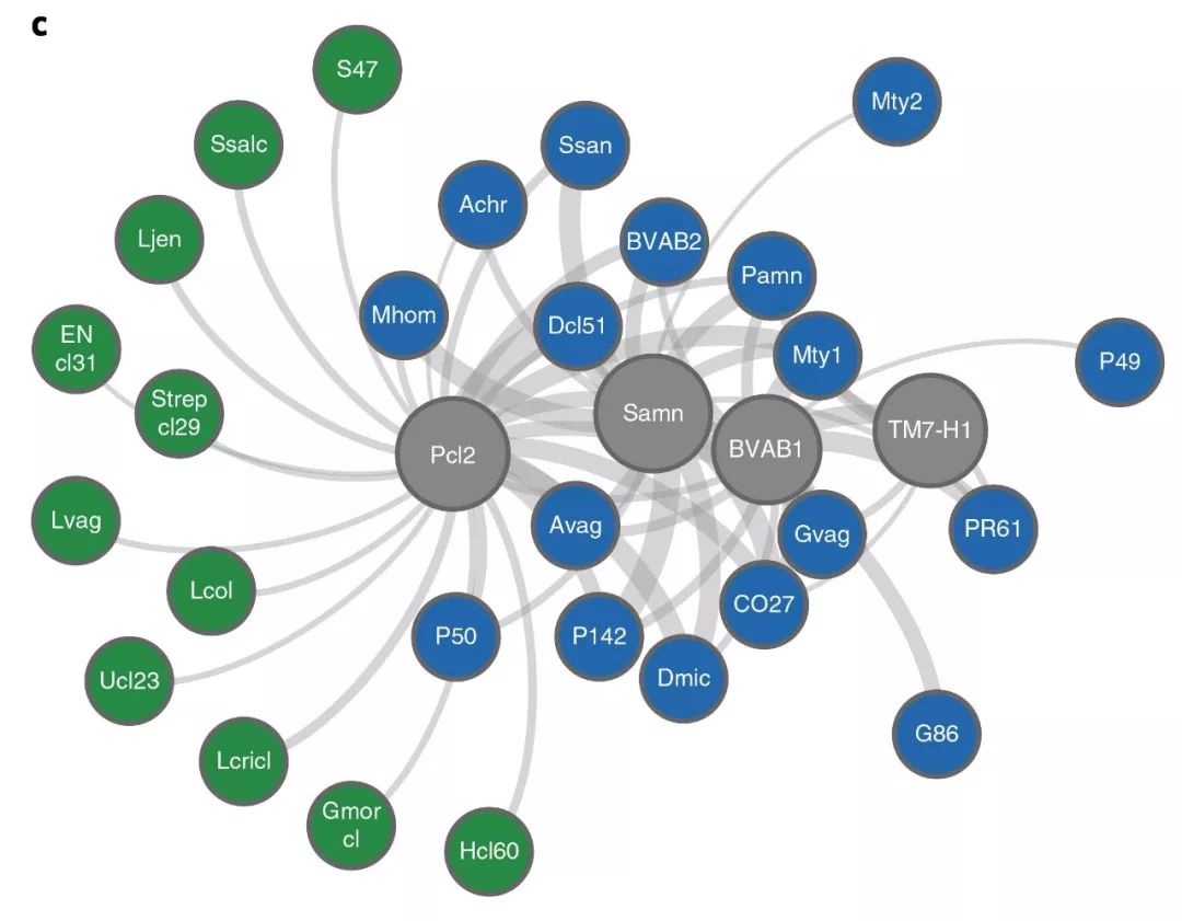 iHMP第二弹|阴道微生物与早产