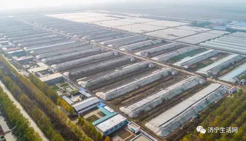 市长发话,济宁发布重大利好消息!惠及济宁800万人!