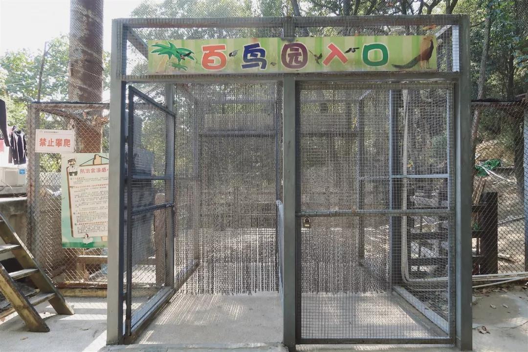 在动物园散步才是正经事|暴走福州