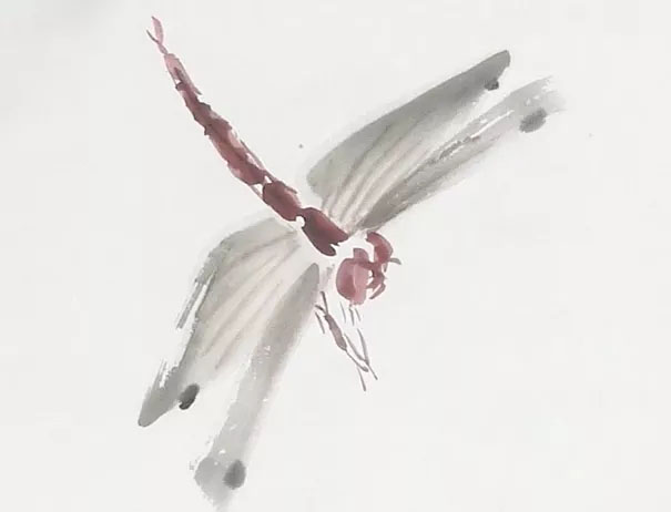 蜻蜓荷花图怎么画,夏天带有荷花蜻蜓的场景画法