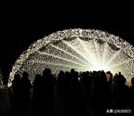 日本关西京都奈良旅游,日本关西自由行之奈良