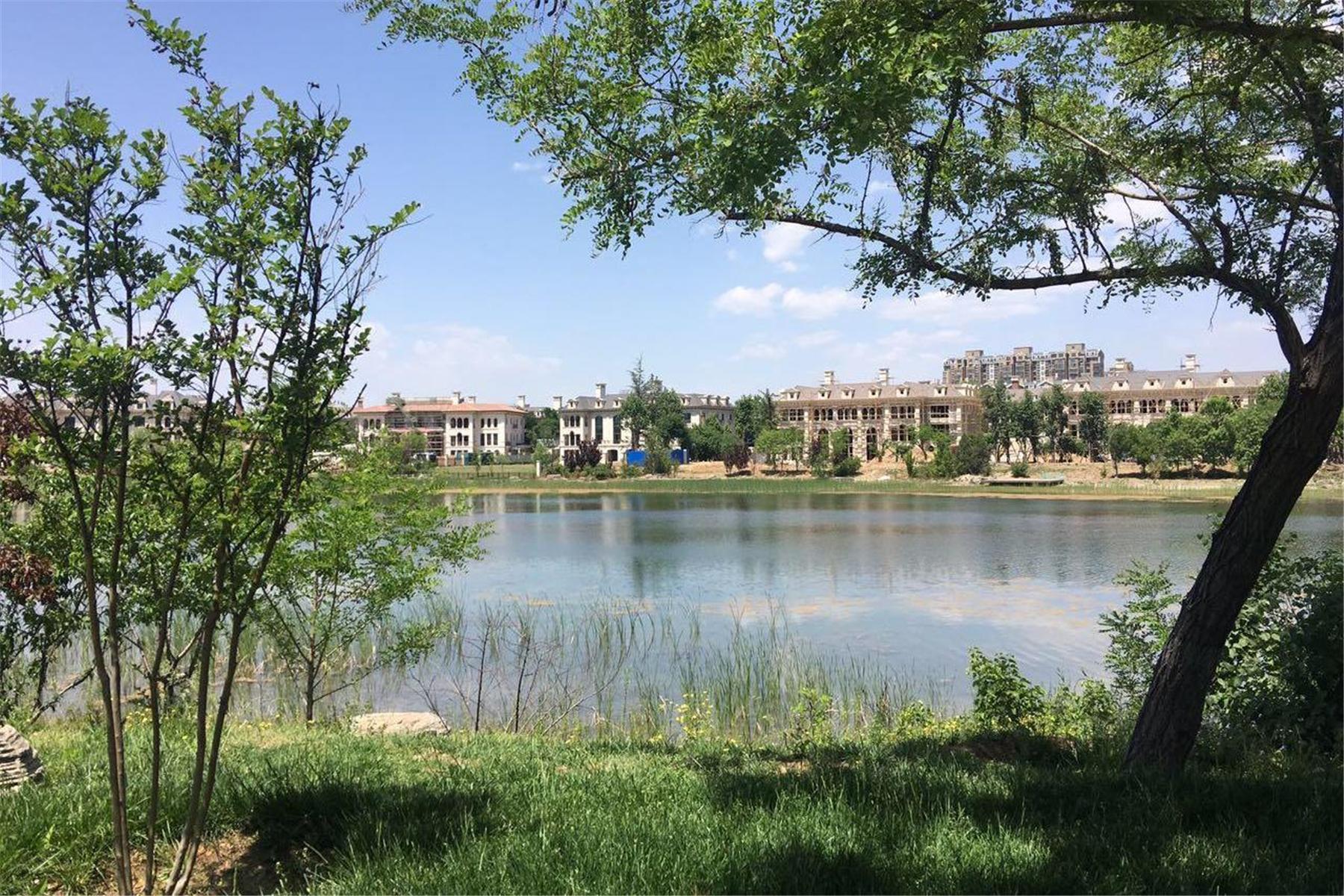 别墅精品豪宅首选,独栋大平层豪宅200-300平