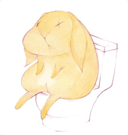 一天不排便=吸10根烟？香蕉治疗便秘？7个排便真相要知道