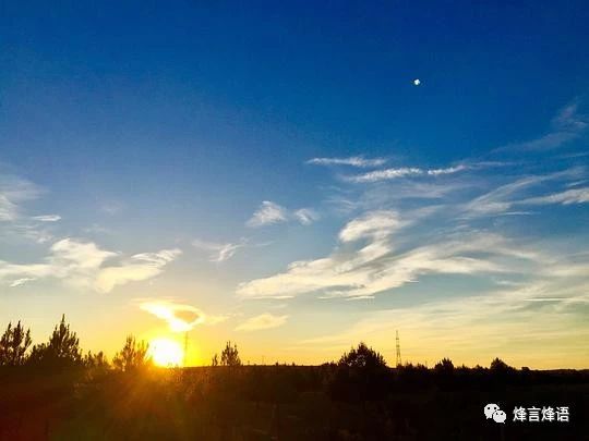 西班牙马德里好吗,葡萄牙和西班牙去哪个国家好