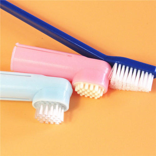 巴哥犬的耳朵总是很臭,巴哥犬天天洗澡身上臭怎么办