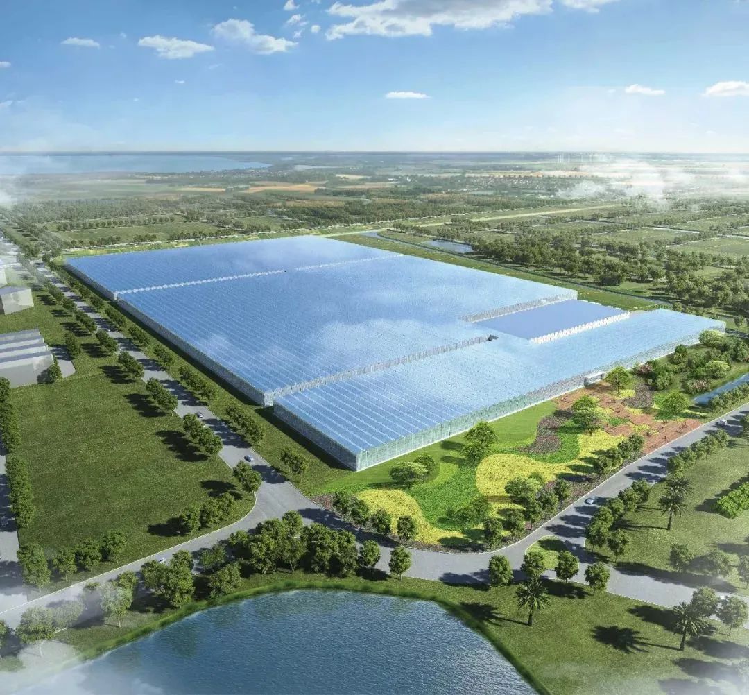 俯瞰珠海全景最佳地点,珠海这个地方好吗