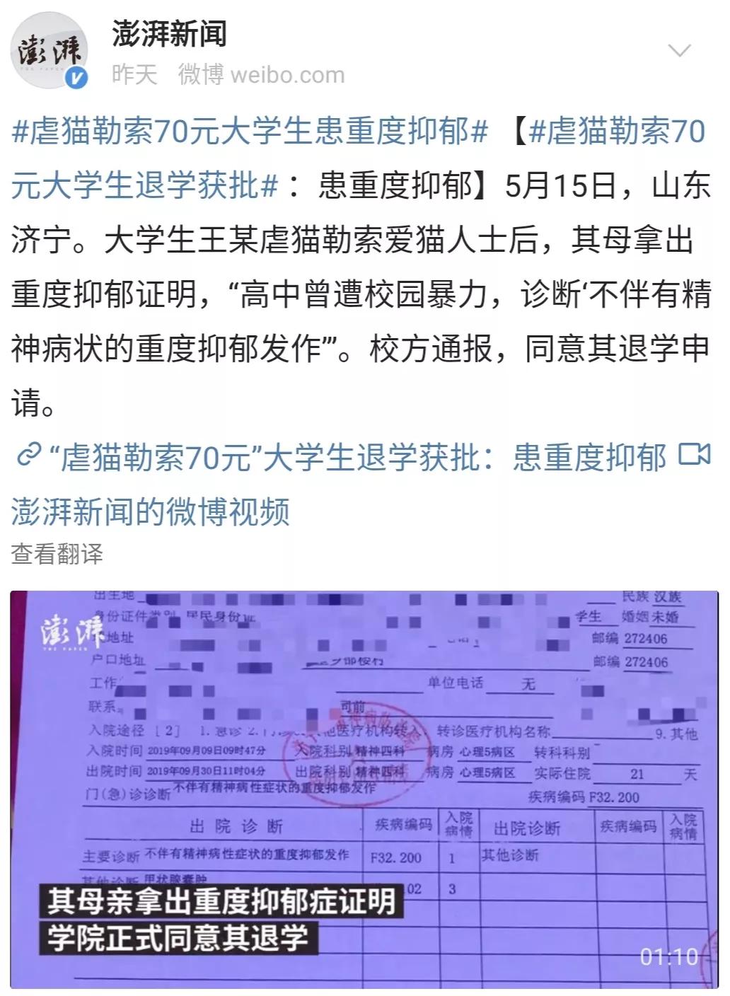 大学生杀死流浪猫,大学生杀流浪猫