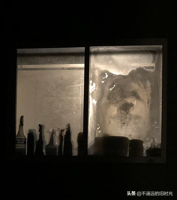 40张你不敢相信自己的眼睛的照片,10张让人怀疑眼睛的图片