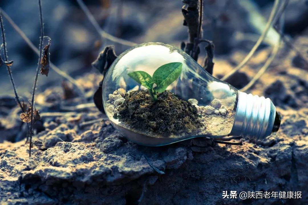 被毒隐翅虫咬怎么治疗,中了隐翅虫毒有什么感觉