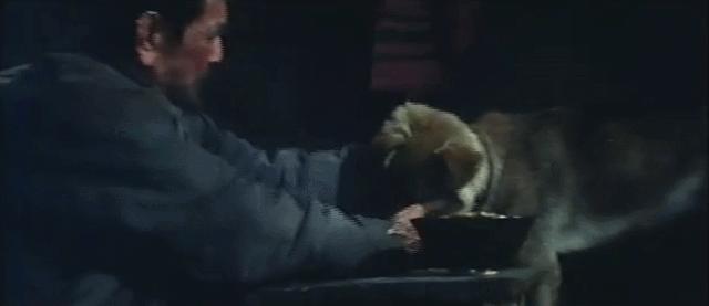 *播禁**26年，演员被捕，这部国产*片禁**终于被找到