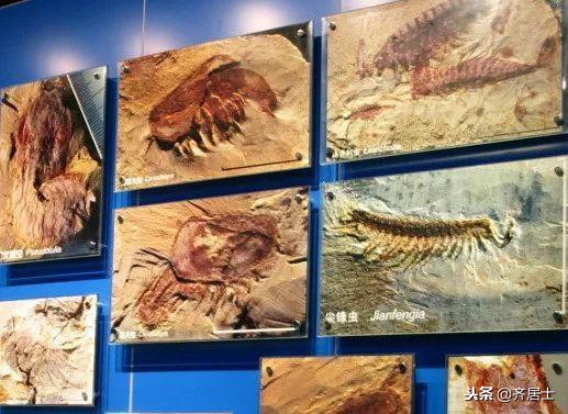 中国38处世界文化遗产全名单,中国的53个世界遗产大全