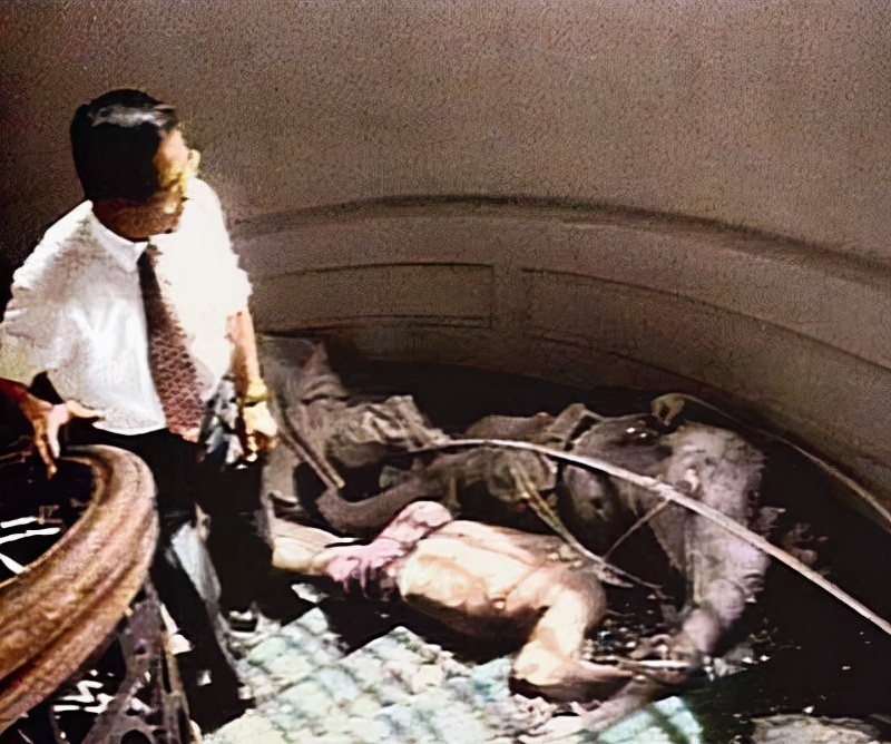 500多人被劫持解救持续126天,被劫持的人质52集完整版