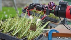 新松协作机器人使用案例,协作机器人的五种应用