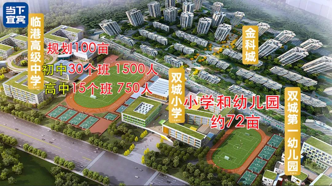 学位紧张片区安排,学位紧张持续到哪一年