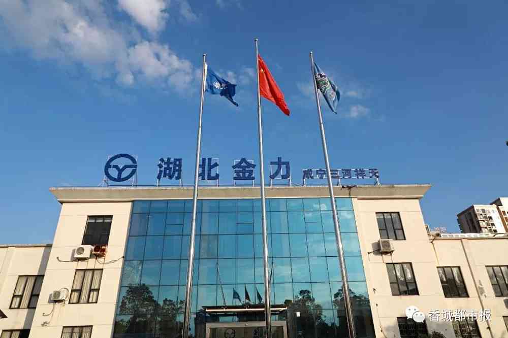 从咸宁到纳斯达克!咸宁这家公司即将展翅腾飞!未来不可限量!