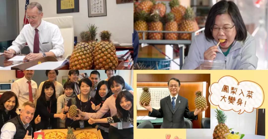 海峡锐评｜菠萝滞销不用怕，自有万年“接盘侠”