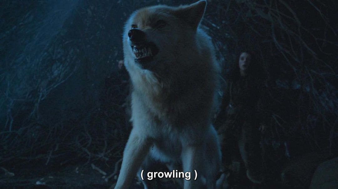 权游第八季熊家,权游8最新视频