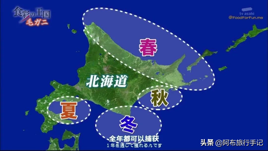 去日本才能吃过瘾的岛国本土食材,至少有8种便宜了游客