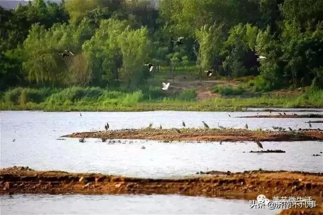 莱芜比较好的乡镇,莱芜乡镇有哪些