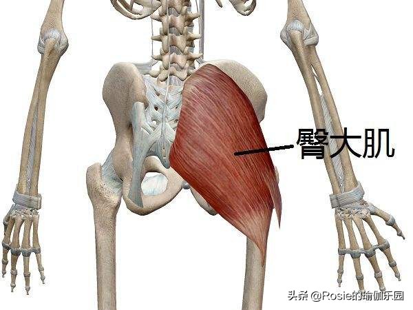 顽固性粗腿怎么瘦成筷子腿,水肿型腿粗怎么减