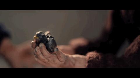 2023年奥斯卡最佳动画,2022奥斯卡最佳动画