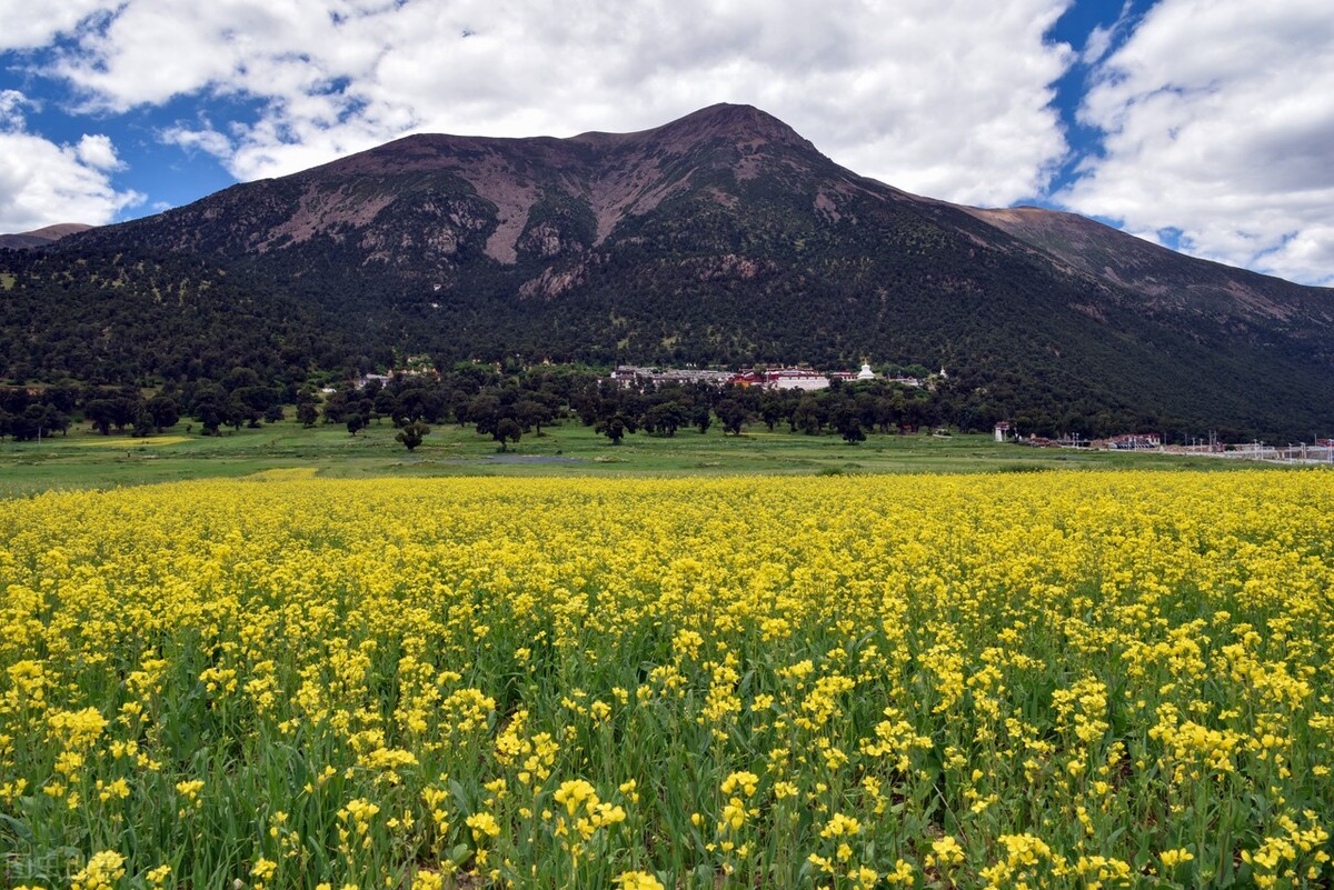 蜜月旅行推荐国内好玩的,蜜月旅行适合去的地方