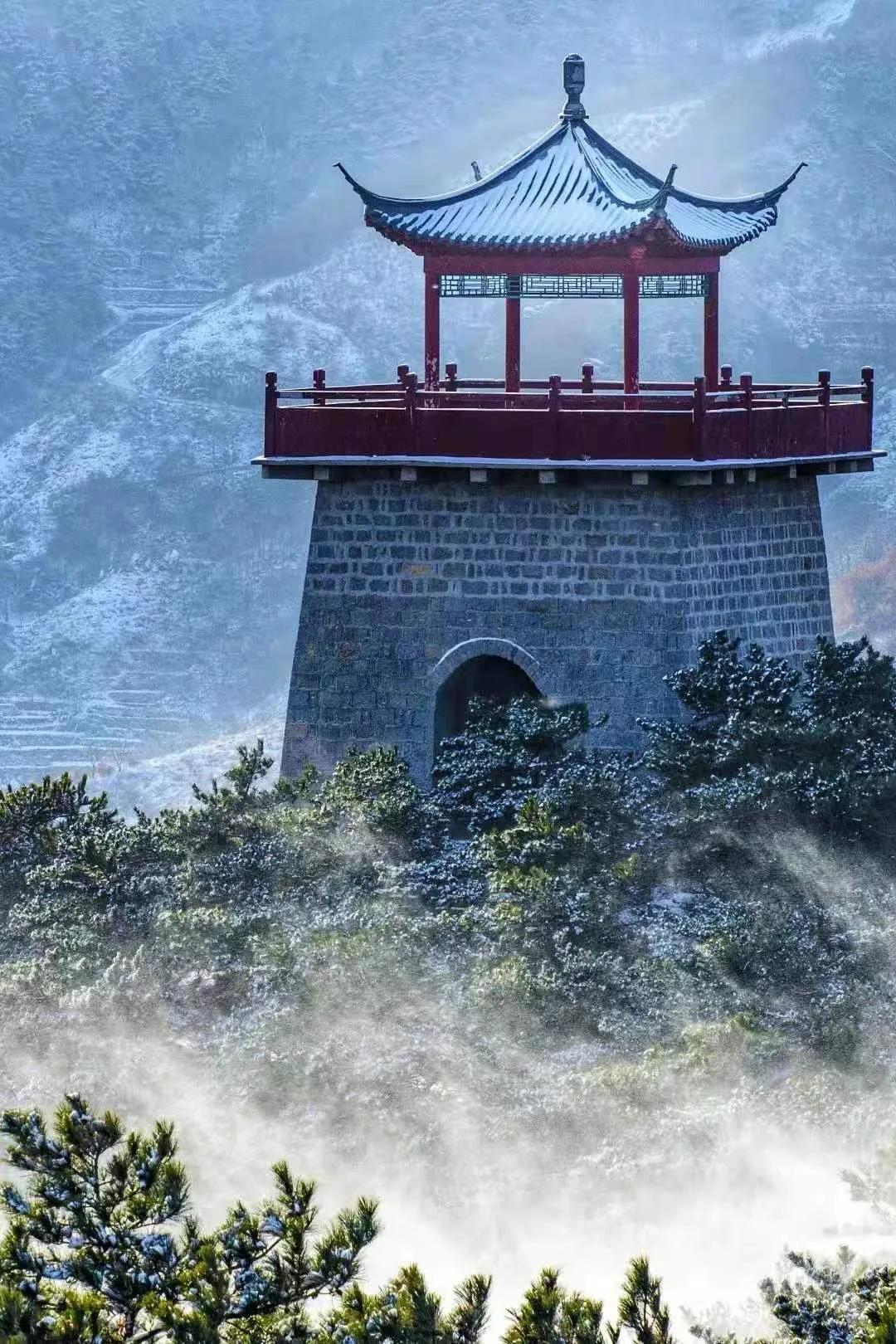 五湖四海的山东人，即便不回家，这些“山东年货”也要安排上！