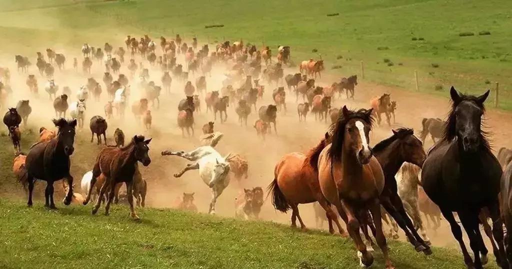 禤靐龘同学今天刷屏了，但更奇葩的名字还有一大箩筐
