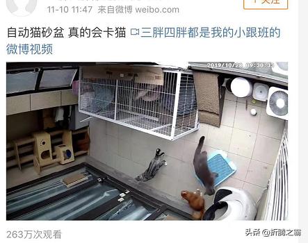 猫洁易catgenie自动清理猫砂盆,猫砂盆自动清洁测评