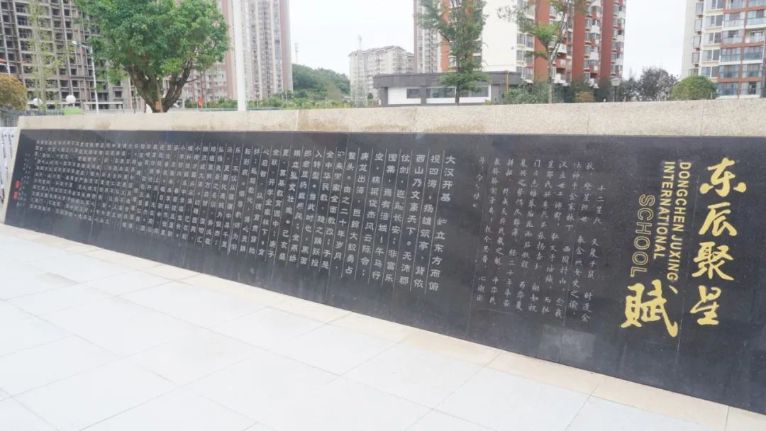 绵阳东辰聚星国际学校建设公告,冉冉升起的一颗新星完整视频