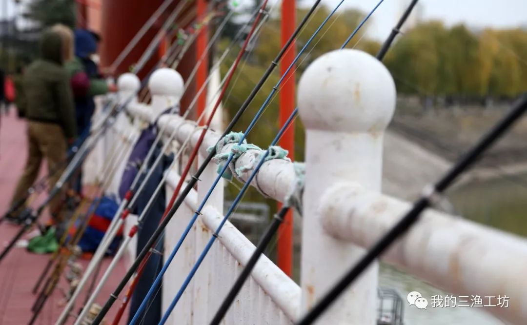 盘点钓鱼人的最高境界,钓鱼人各种奇葩收获